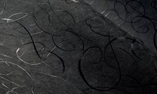 CalligraphyBird2-AMZJ_tm