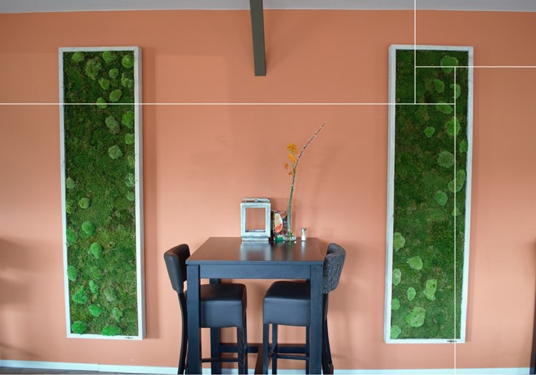 gamme-bolmoss-moss-green esfe