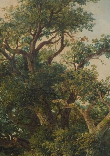 image3