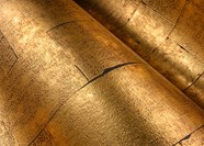 IMG_8823
